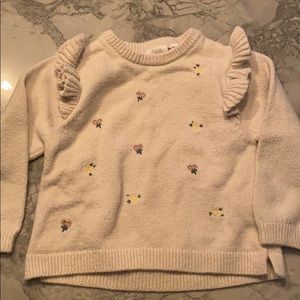 Zara Floral Embroided Sweater